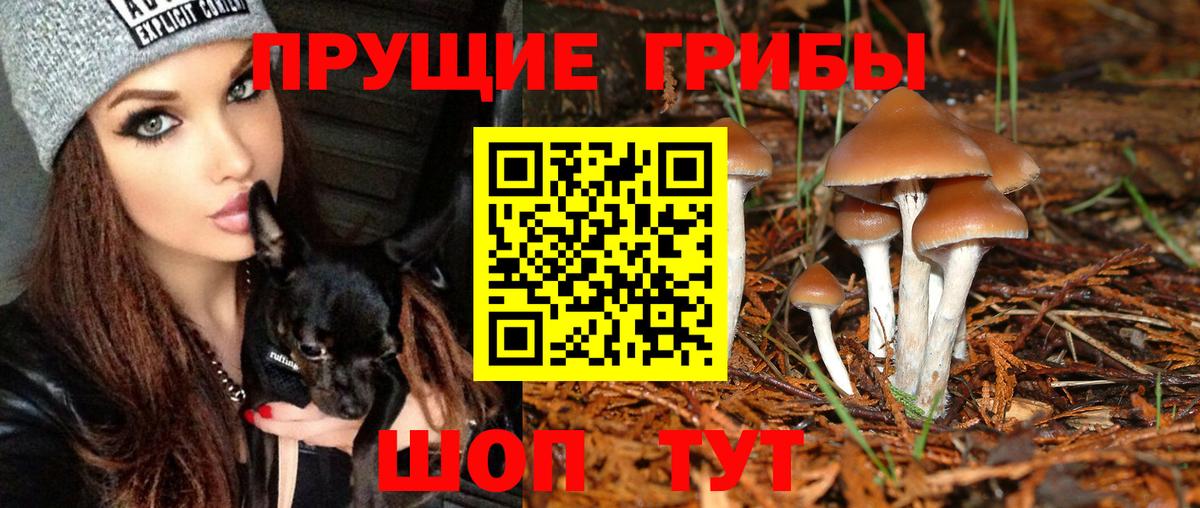Галлюциногенные грибы прущие грибы Ярцево