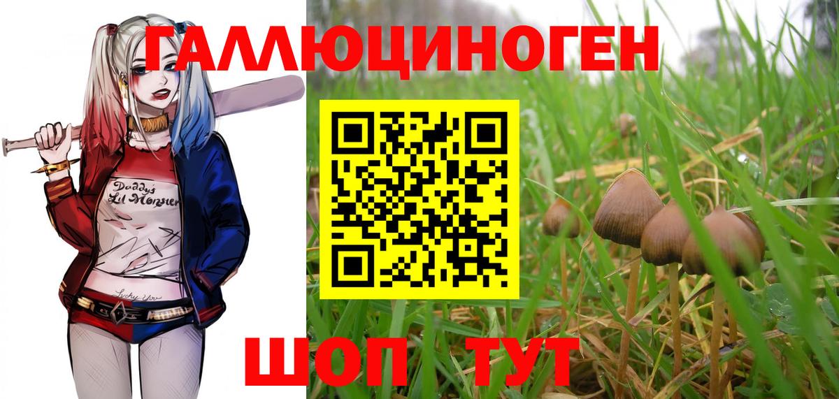 Ярцево  Галлюциногенные грибы Magic Shrooms  Псилоцибиновые грибы мицелий  Вход с VPN 